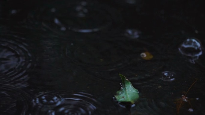 春雨/梅雨天气/小雨/城市雨季