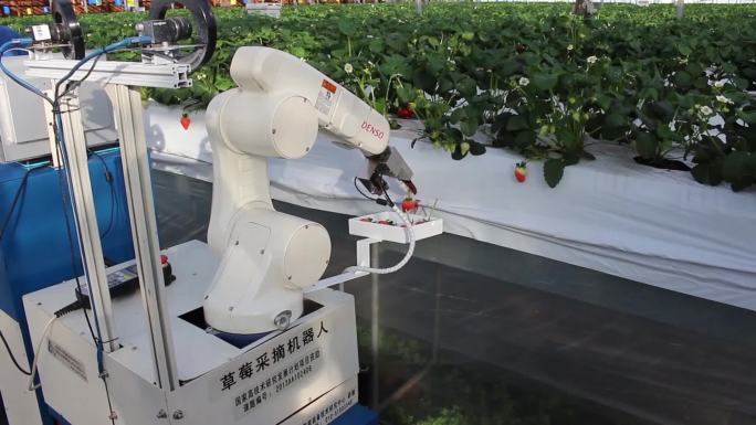 智慧农业 温室喷药机器人 采摘机器人