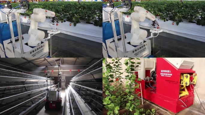 智慧农业 温室喷药机器人 采摘机器人