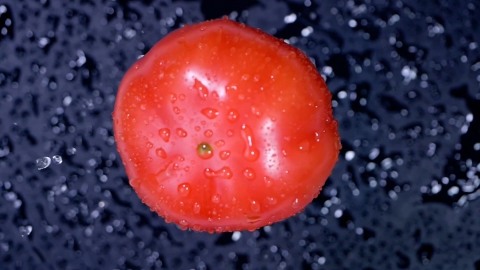 番茄 西红柿碰撞