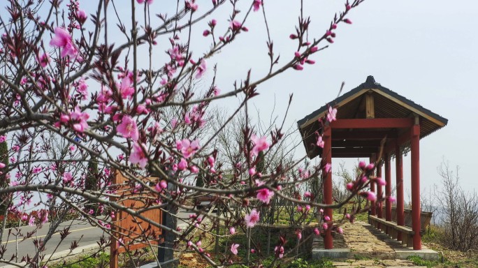 航拍春天山顶公园