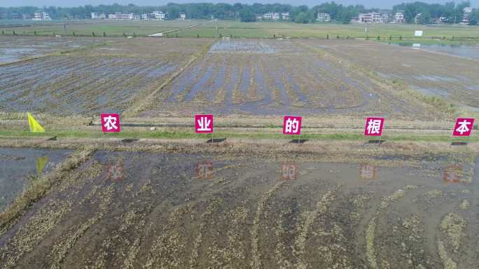 农业的根本出路在于机械化