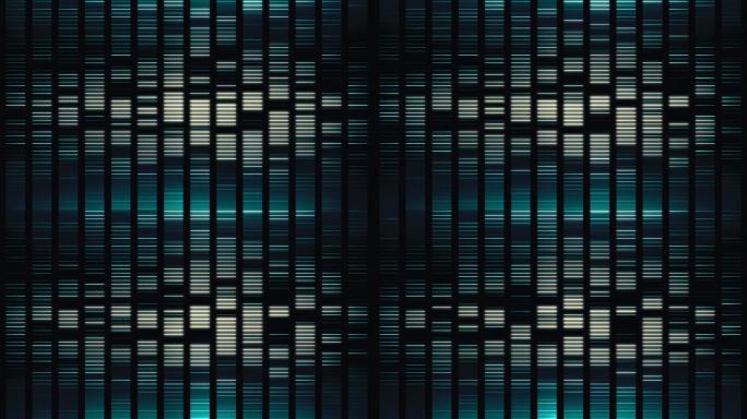 DNA测试动画检测片段医疗医学测序工程