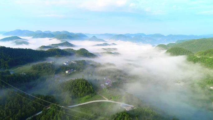 输电线雨雾