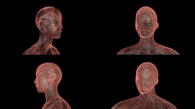 3D人体动画组织器官识别扫描大脑脑部