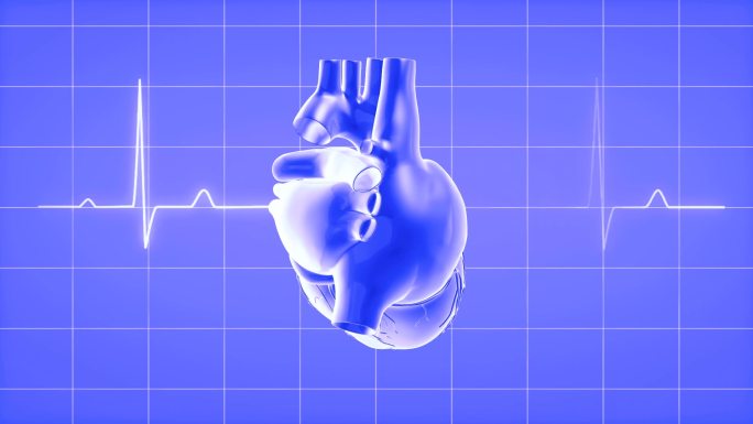 脉搏波形动画心电图动画心脏起搏三维心脏跳