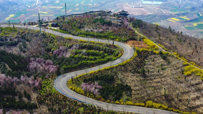 航拍春天多彩的山顶公园