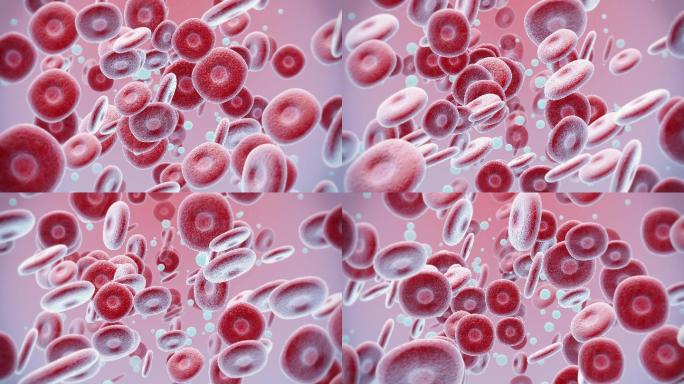 红细胞和白细胞动画