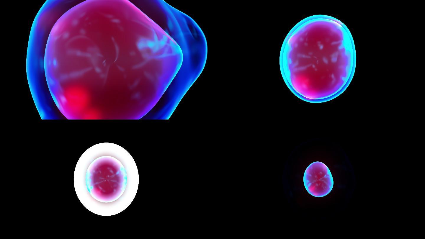 生物细胞动画特效视频元素图像展示模板