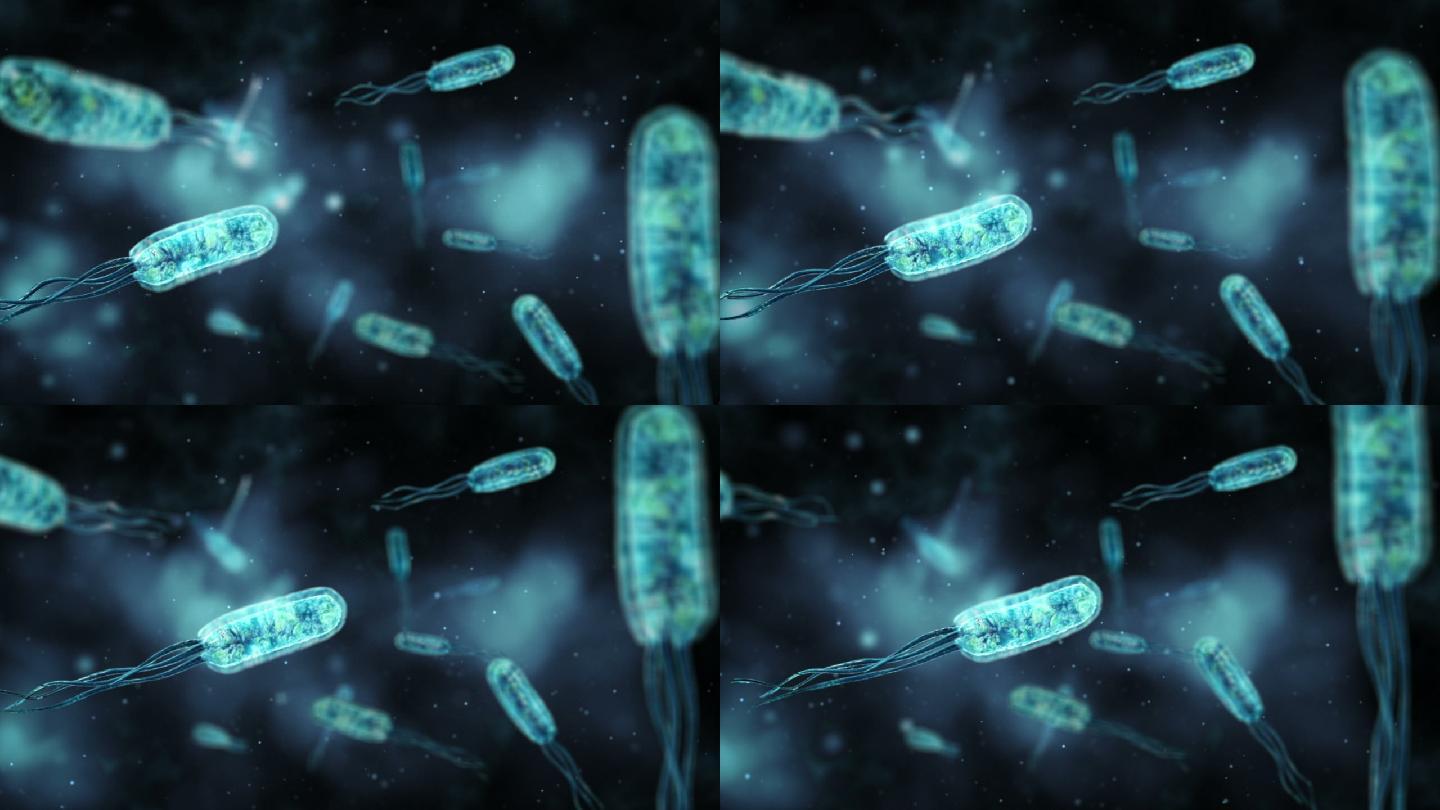 大肠杆菌动画消化系统视频素材