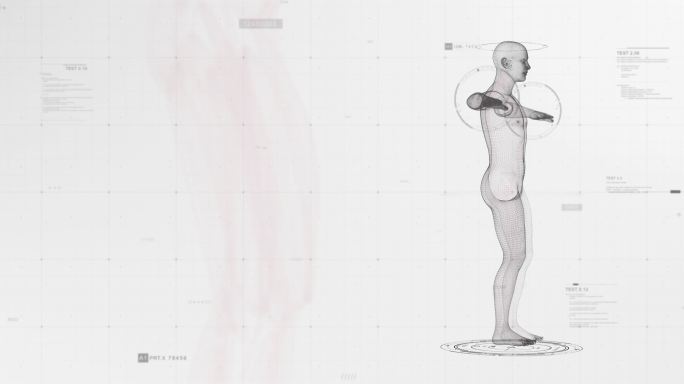 人体动画3d模型内科诊断CT扫描