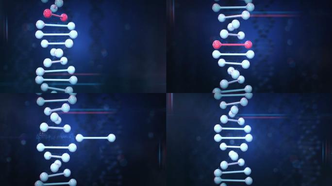 基因3d动画。医疗医学染色体