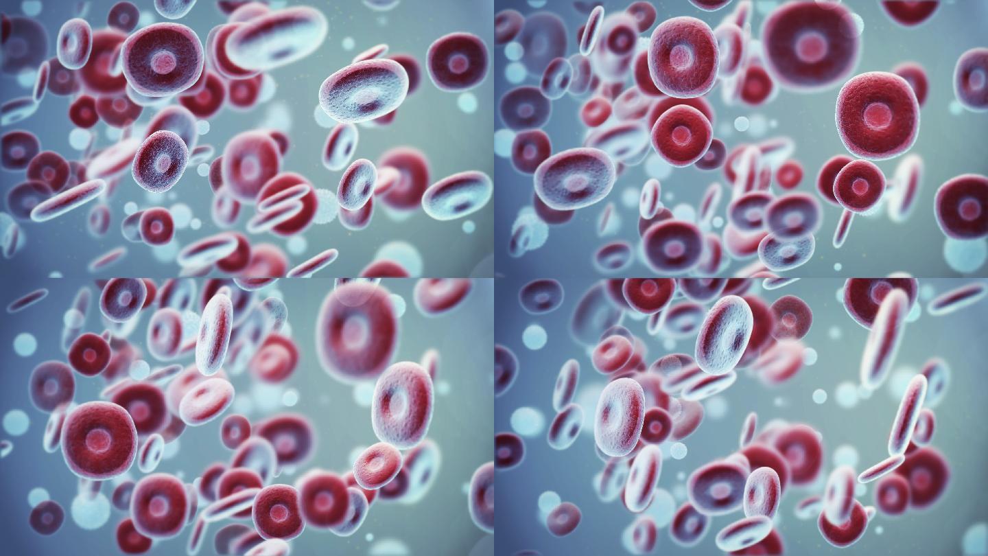 红细胞和白细胞动画