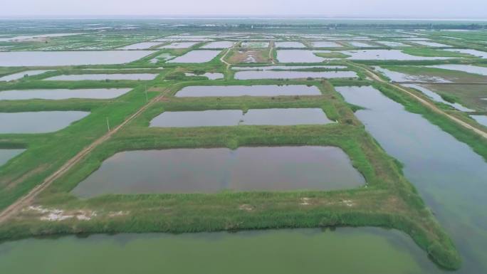 大荔黄河湿地