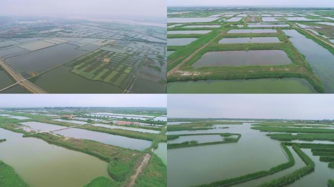 大荔黄河湿地