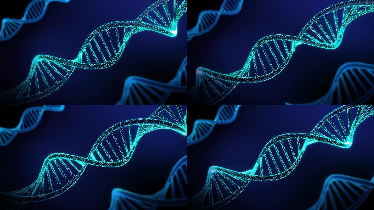 旋转的DNA动画医疗美容健康医疗科技生理