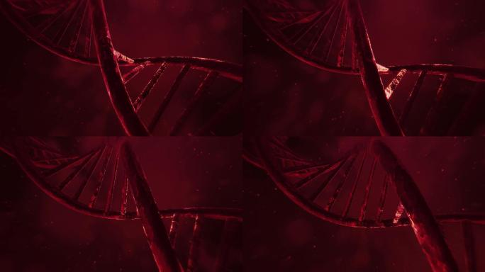 旋转的DNA动画细胞生物遗传基因基因序列