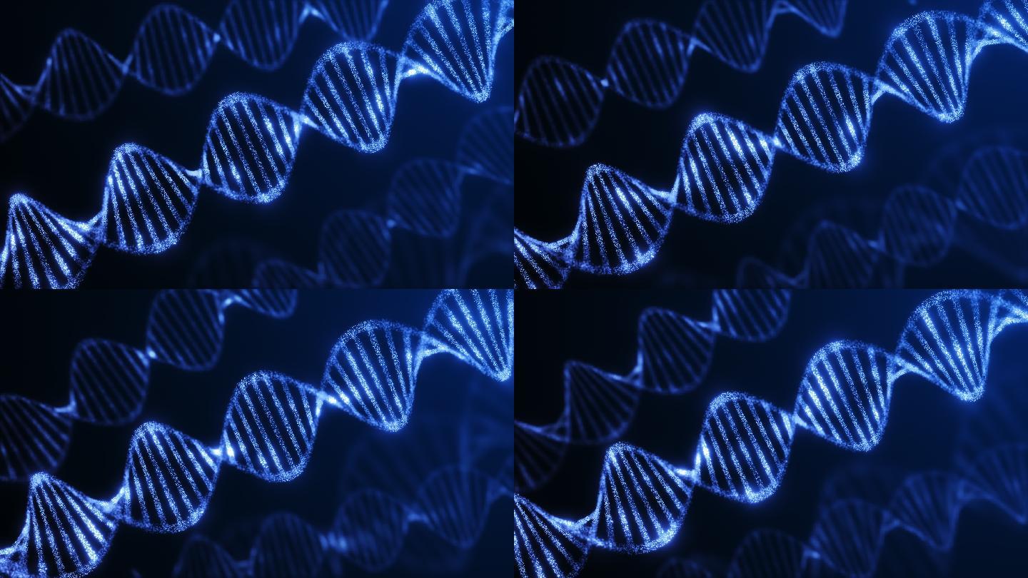 DNA螺旋结构发光分子