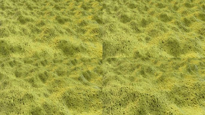 黄色海绵纹理动画三维波纹3d波浪地形起伏