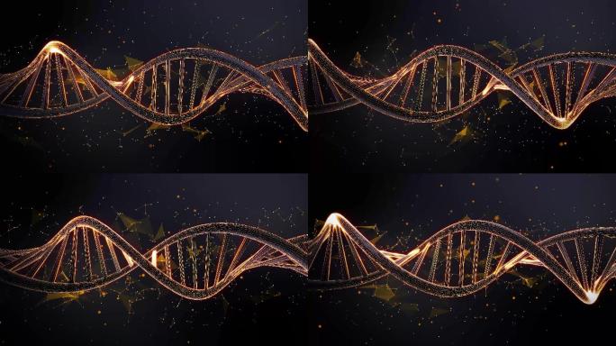 旋转DNA序列特效视频