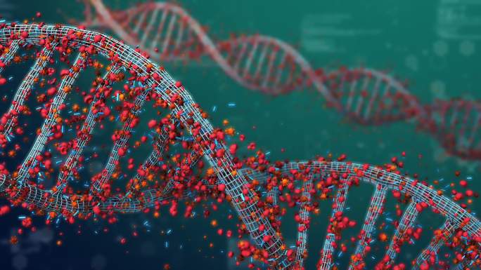 断裂的DNA结构基因突变变异感染病毒研究