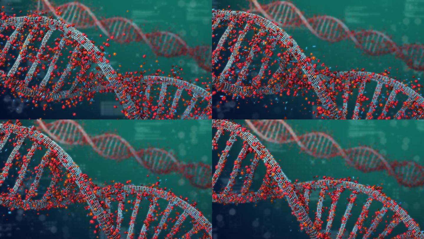 断裂的DNA结构基因突变变异感染病毒研究