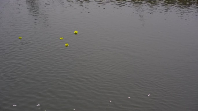 落花流水