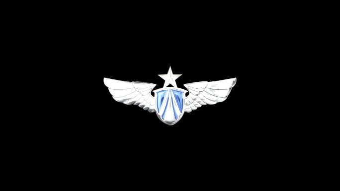 空军部队3D金属质感徽章标志肩章带通道