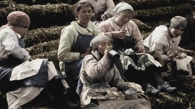 20年代一战西方欧洲女性工作生产