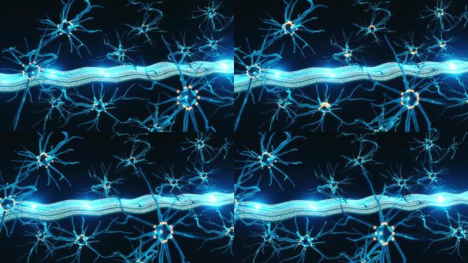 神经肌肉连接特效视频