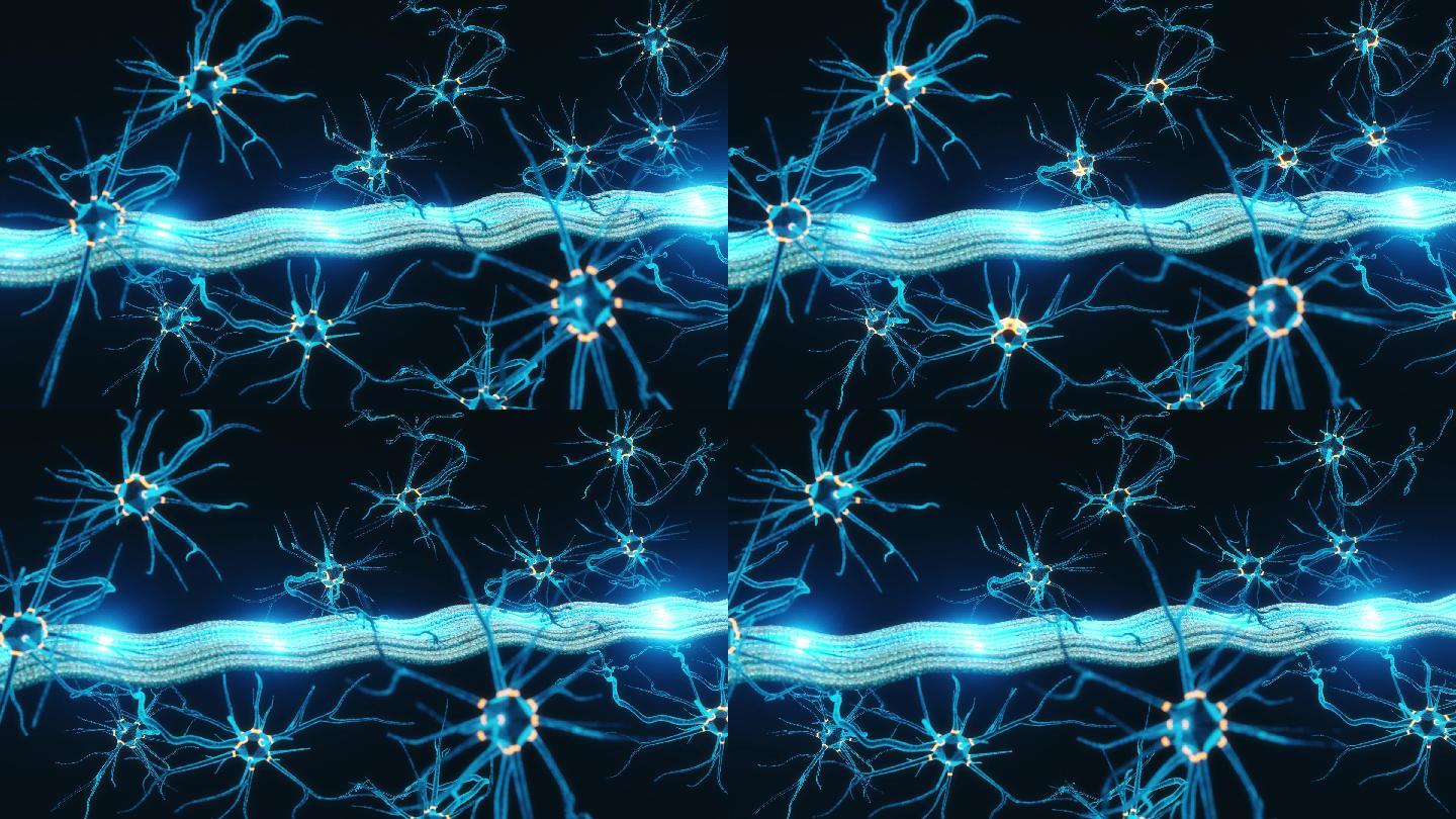 神经肌肉连接特效视频
