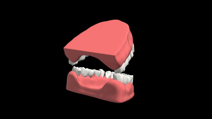 口腔牙齿张开三维展示4k带通道