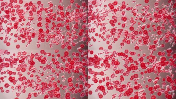 人类红细胞特效视频图像展示模板元素