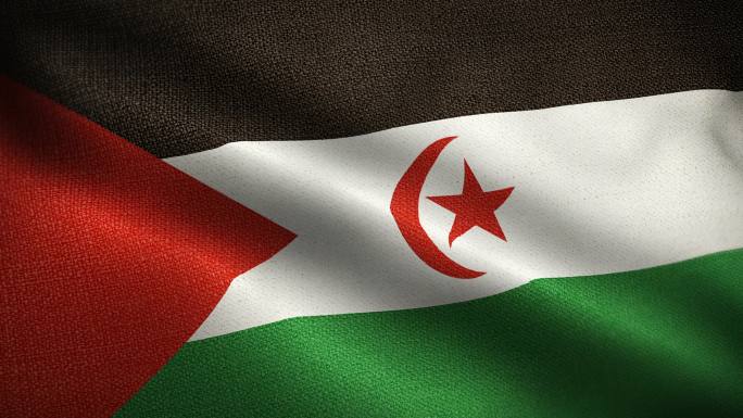 西撒哈拉国旗动画世界国家旗子