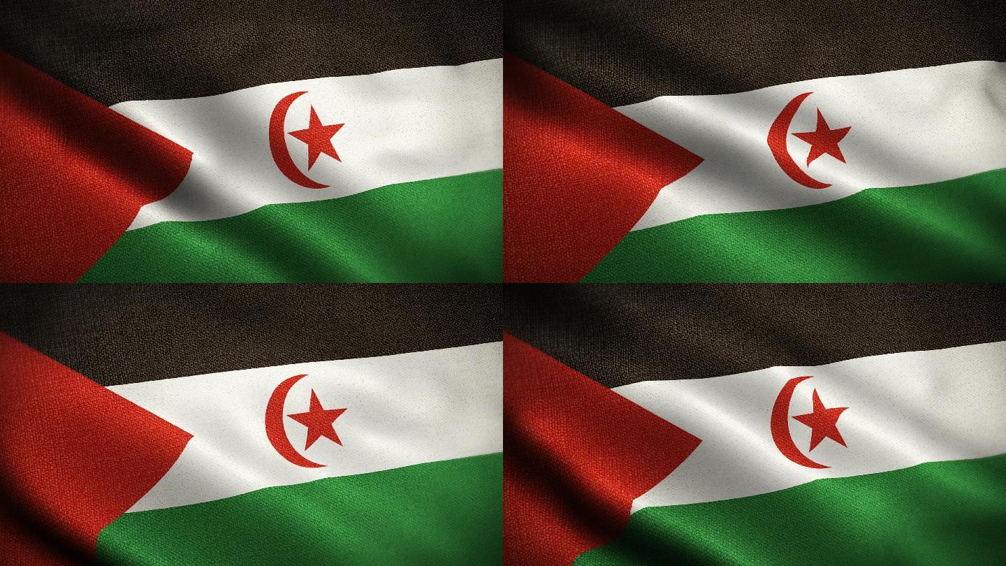 西撒哈拉国旗动画世界国家旗子