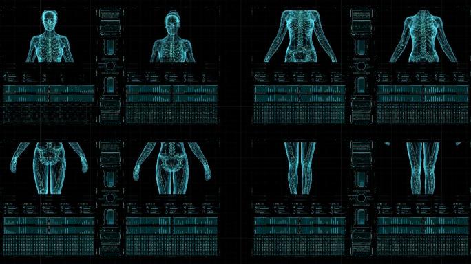 医疗全息图人体透视图骨骼架构医学诊断