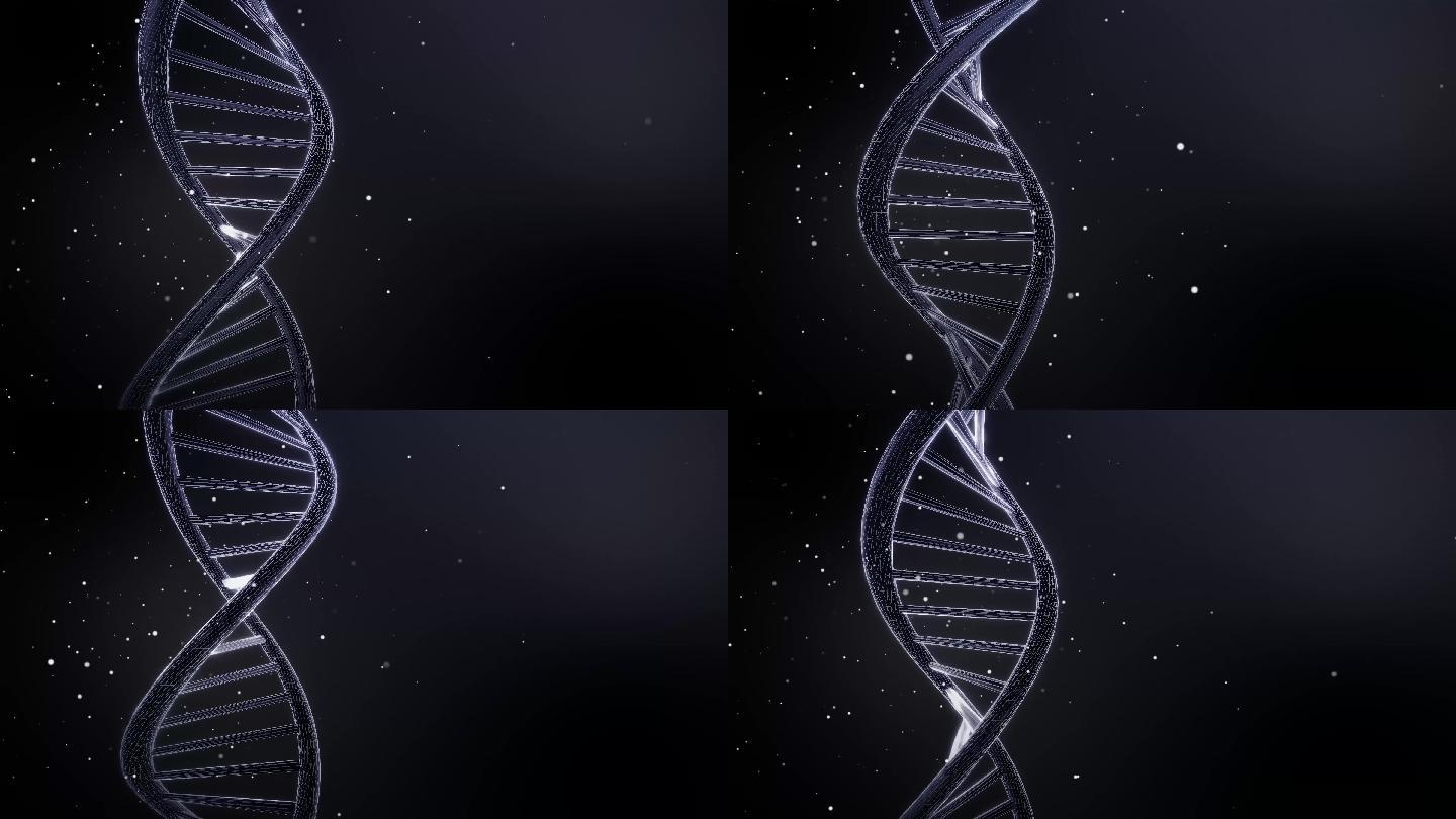 DNA动画双螺旋核酸