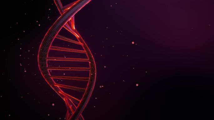 旋转的DNA序列动画