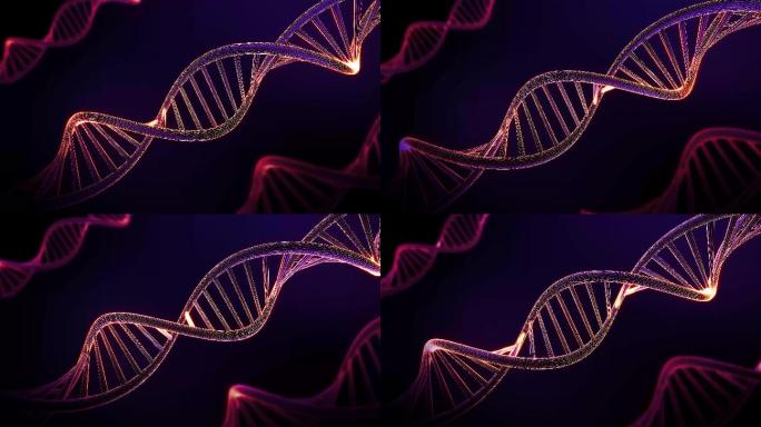 DNA动画特效视频背景图像展示模板