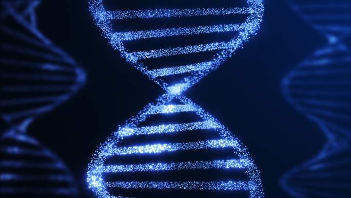 DNA螺旋结构发光分子