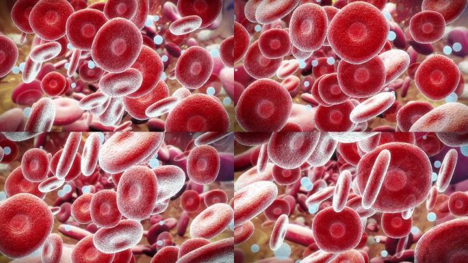 红细胞和白细胞三维3d模拟血液流动血道堵