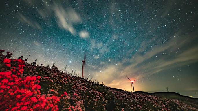 4K 夜晚星空延时视频