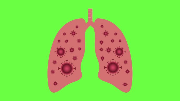 绿色背景上的肺被病毒感染动画