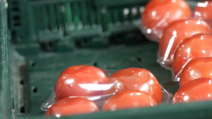 疫情保供应蔬菜西红柿超市
