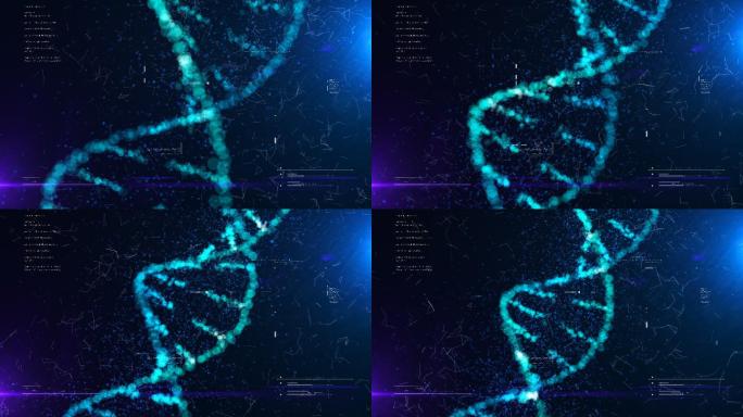 DNA结构动画细胞科技医疗医学研究基因