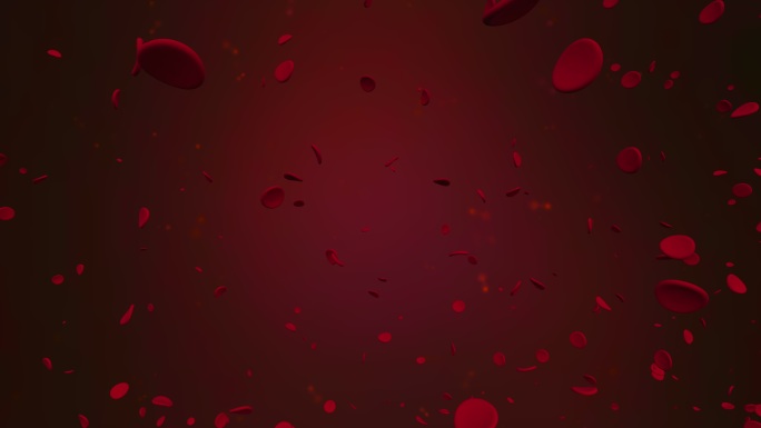 红细胞在血液中运动。