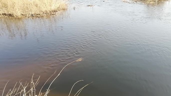 泉水延时