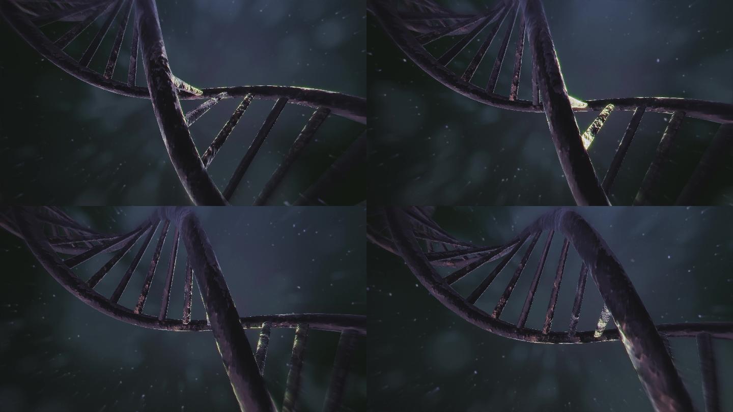 旋转DNA3D动画