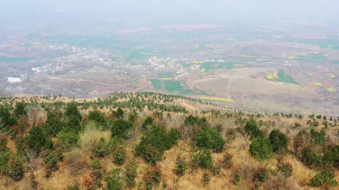 航拍春天山顶公园