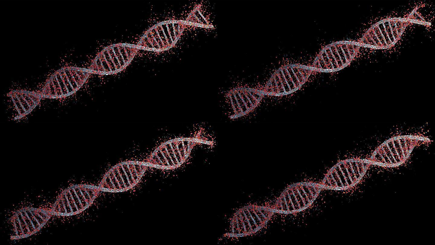 DNA结构基因工程3d动画4K素材